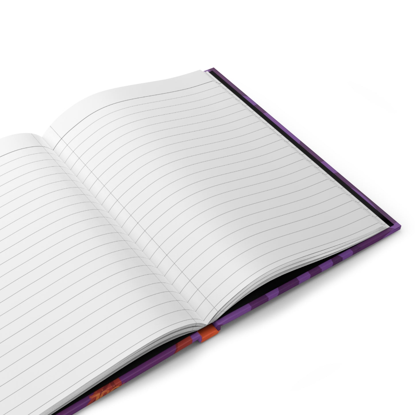 Soul Tour Journal